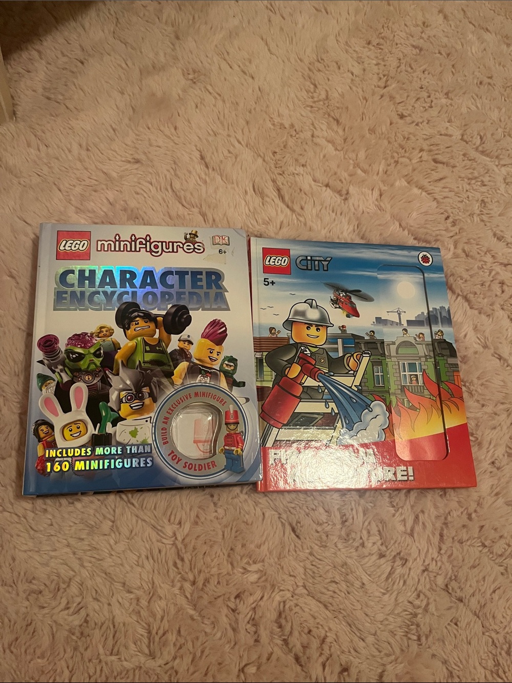 Lego book bundle